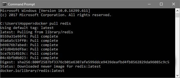 Pull the Redis Docker Image